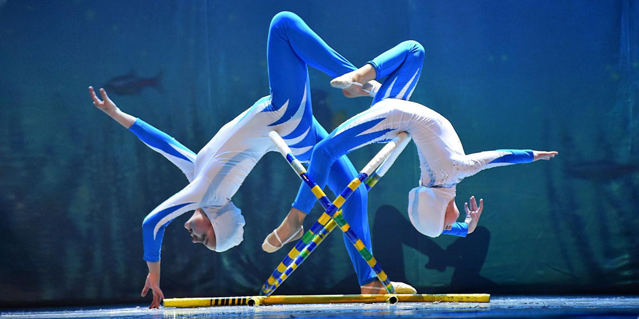 Фото с выступления образцового циркового коллектива «Арлекино»