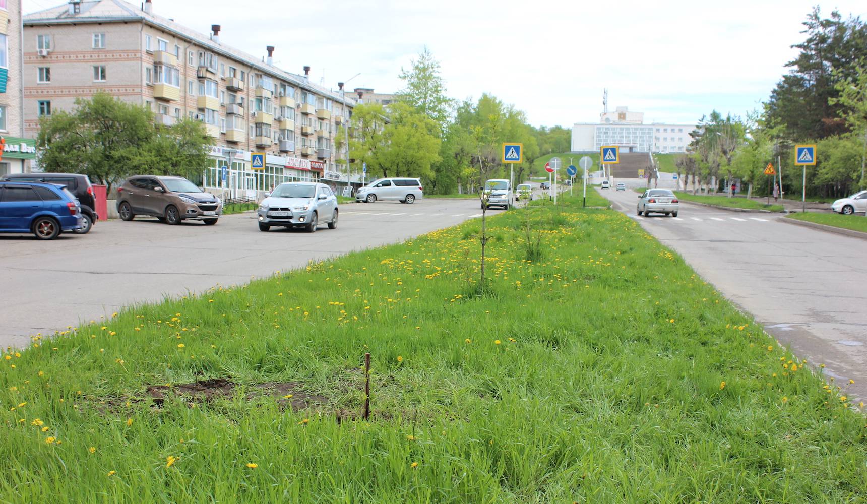 Подарок роду