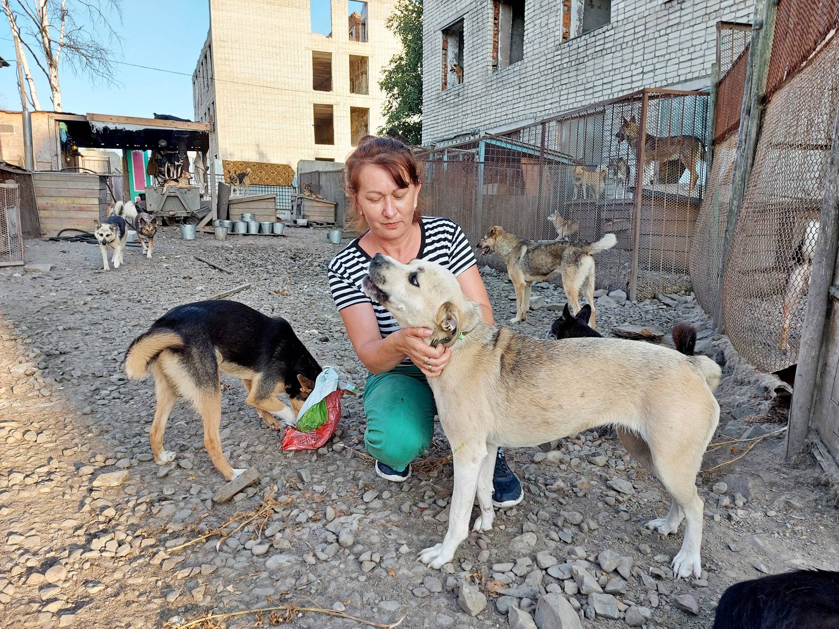 Приехала знакомиться