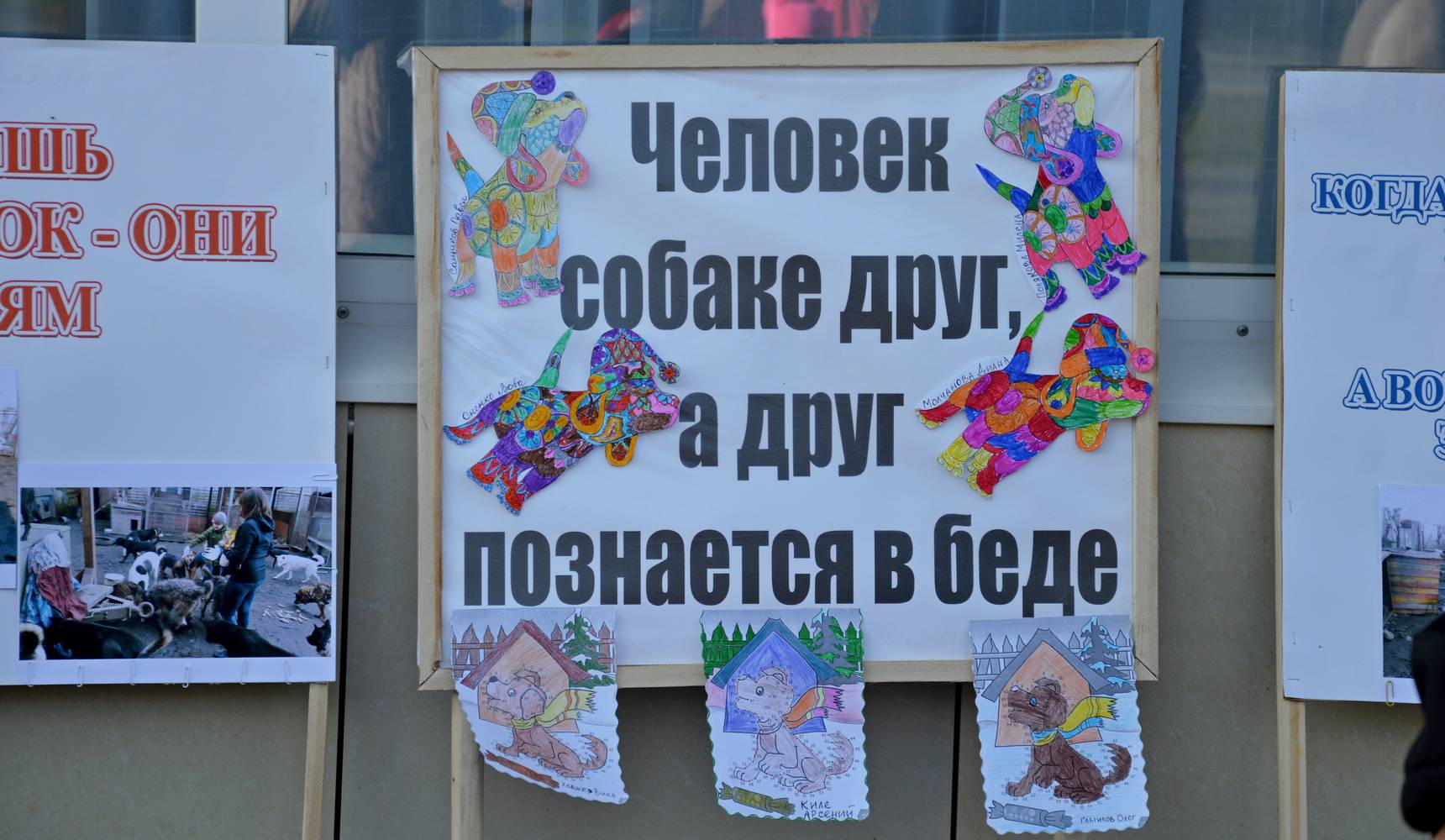 Акция доброты и внимания