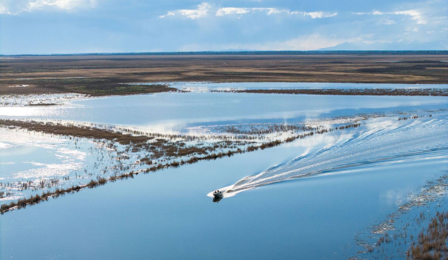 «Пятый элемент» природы