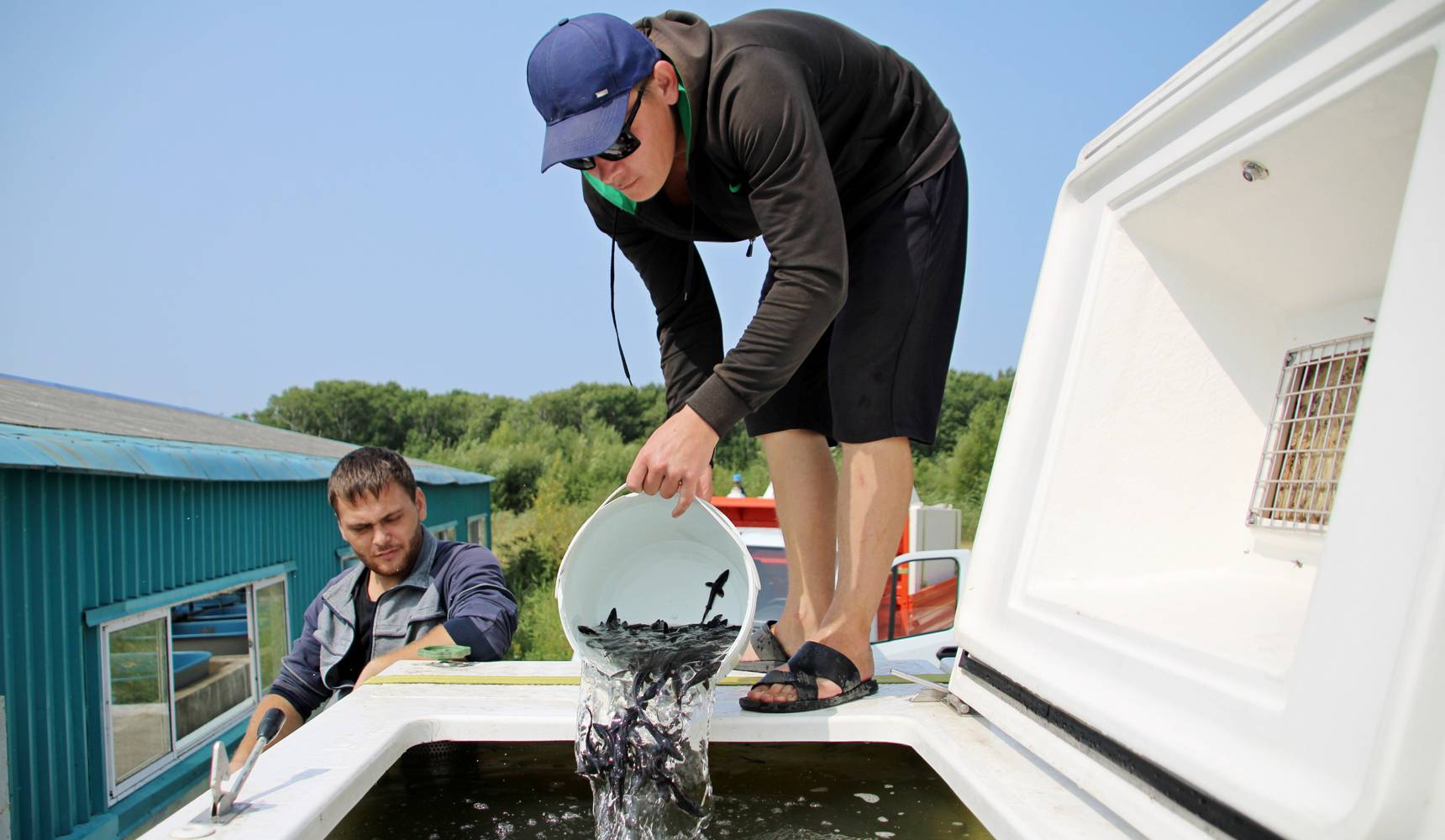 Из ванны в реку