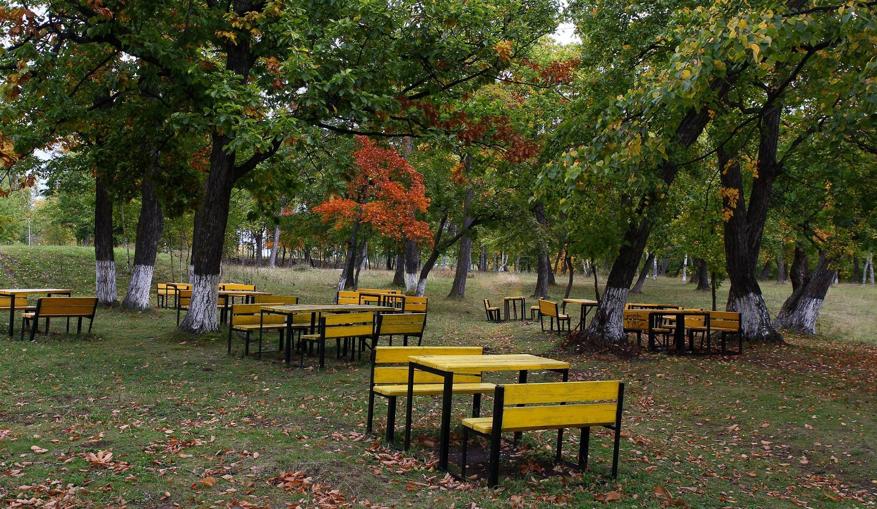 Осенний городской субботник Осенний городской субботник