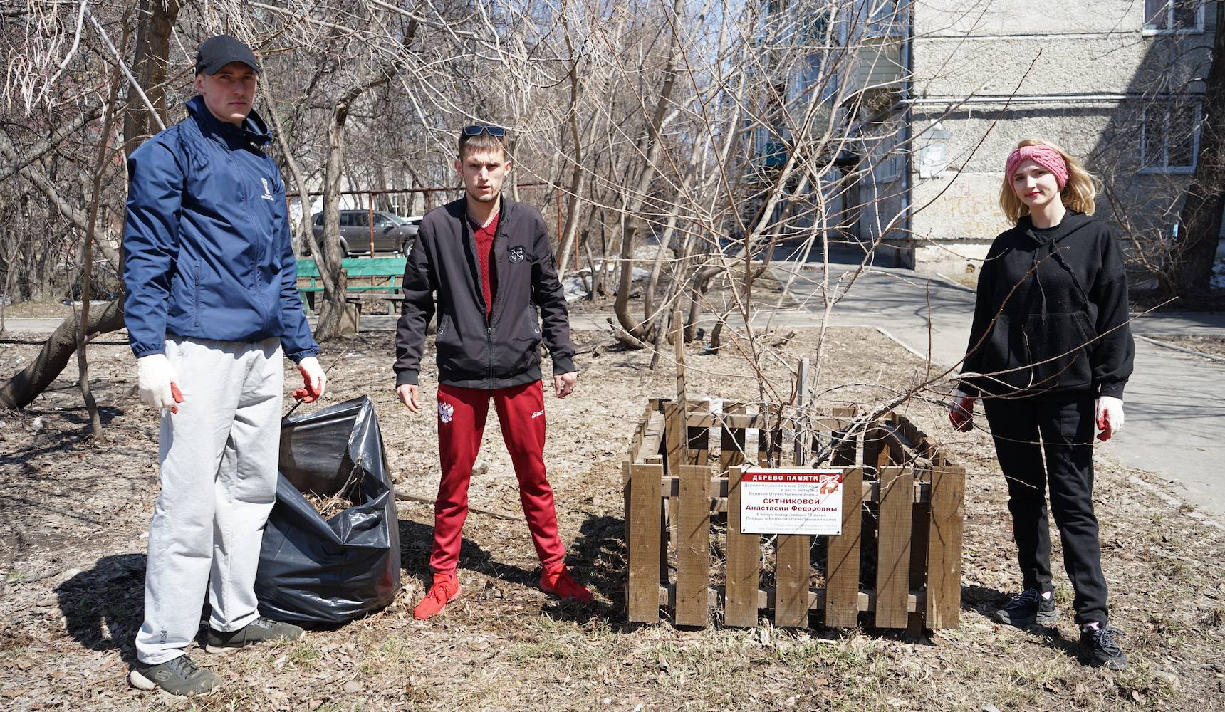 Деревья памяти