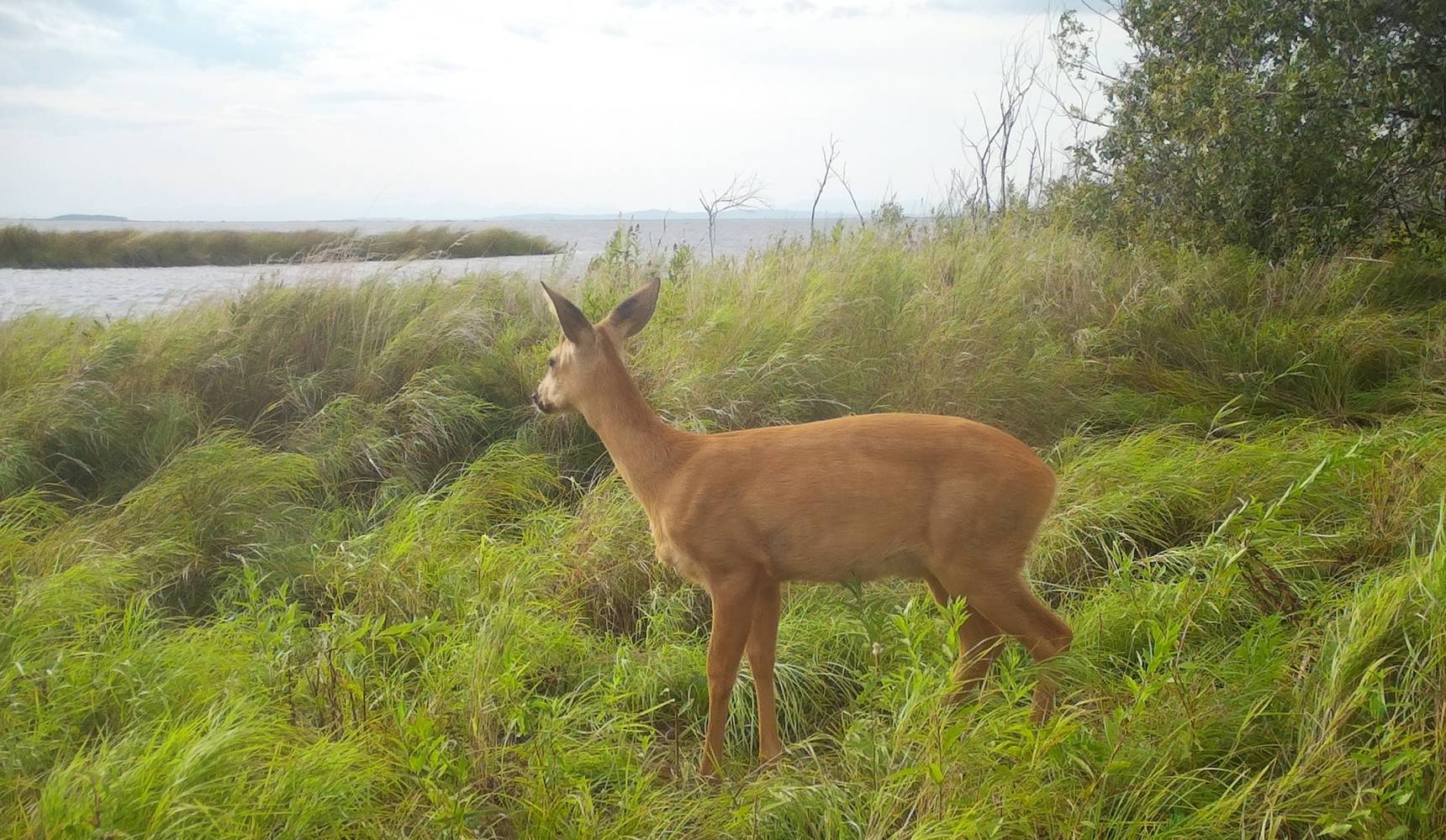Редкие кадры