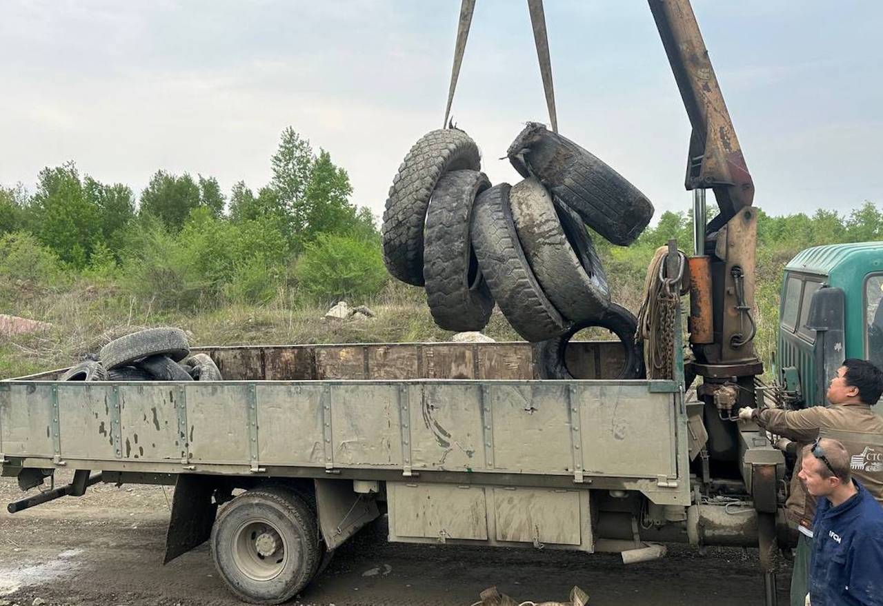 Охота на автопокрышки Охота на автопокрышки