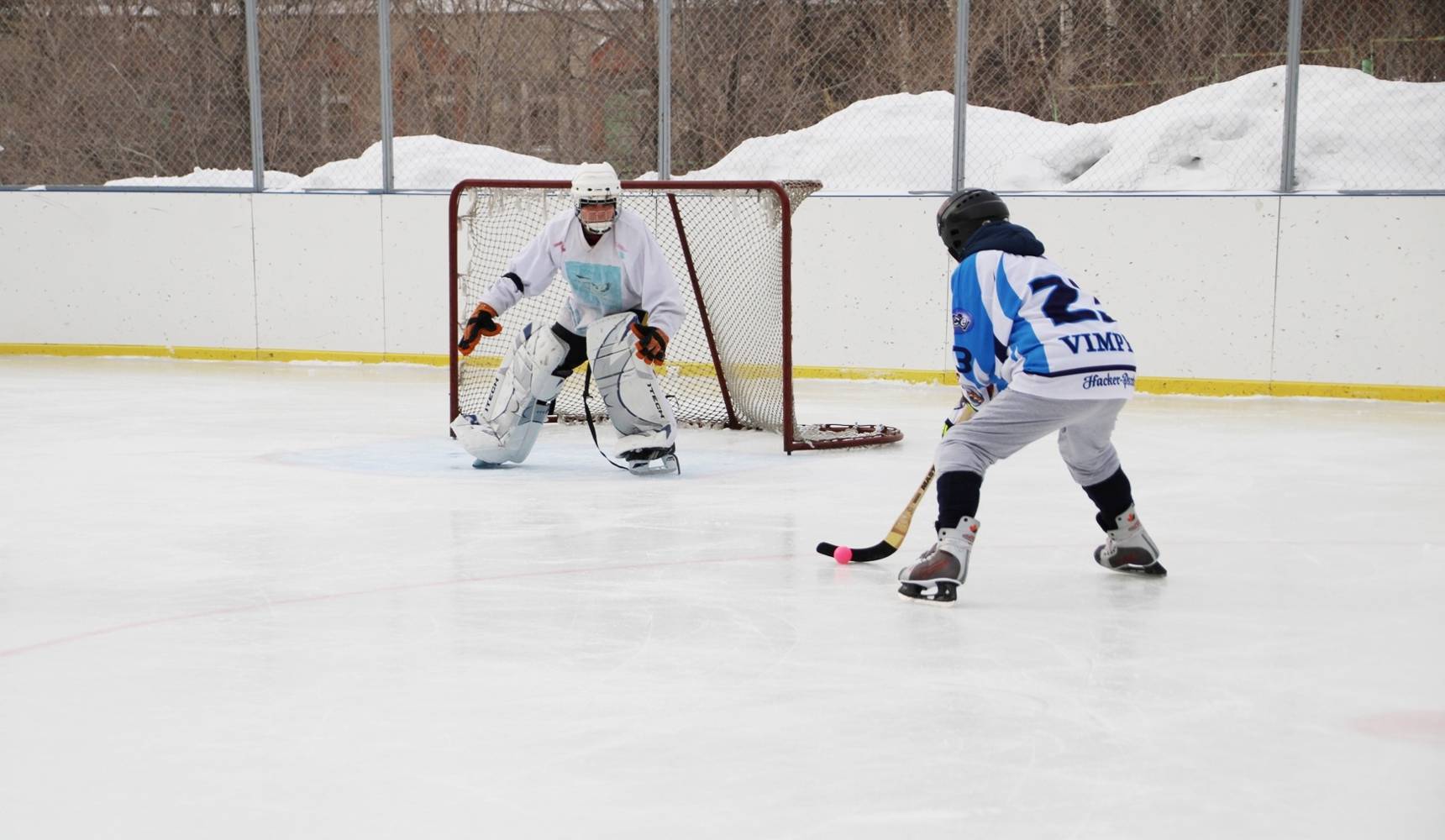 Интрига на льду