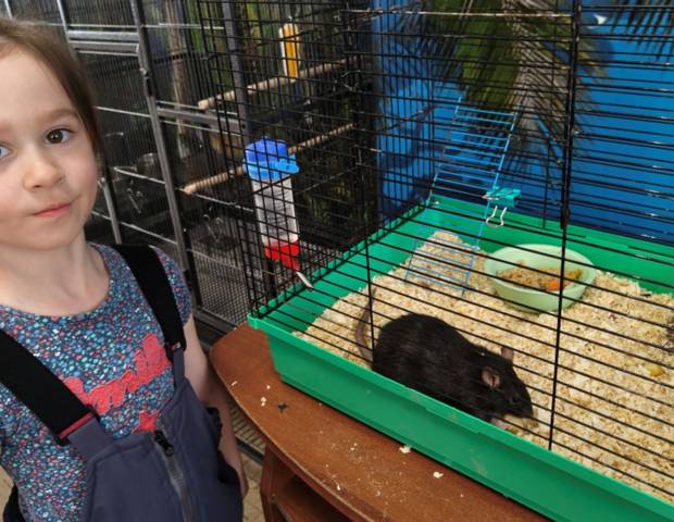 Новые дома для питомцев «Натуралиста»