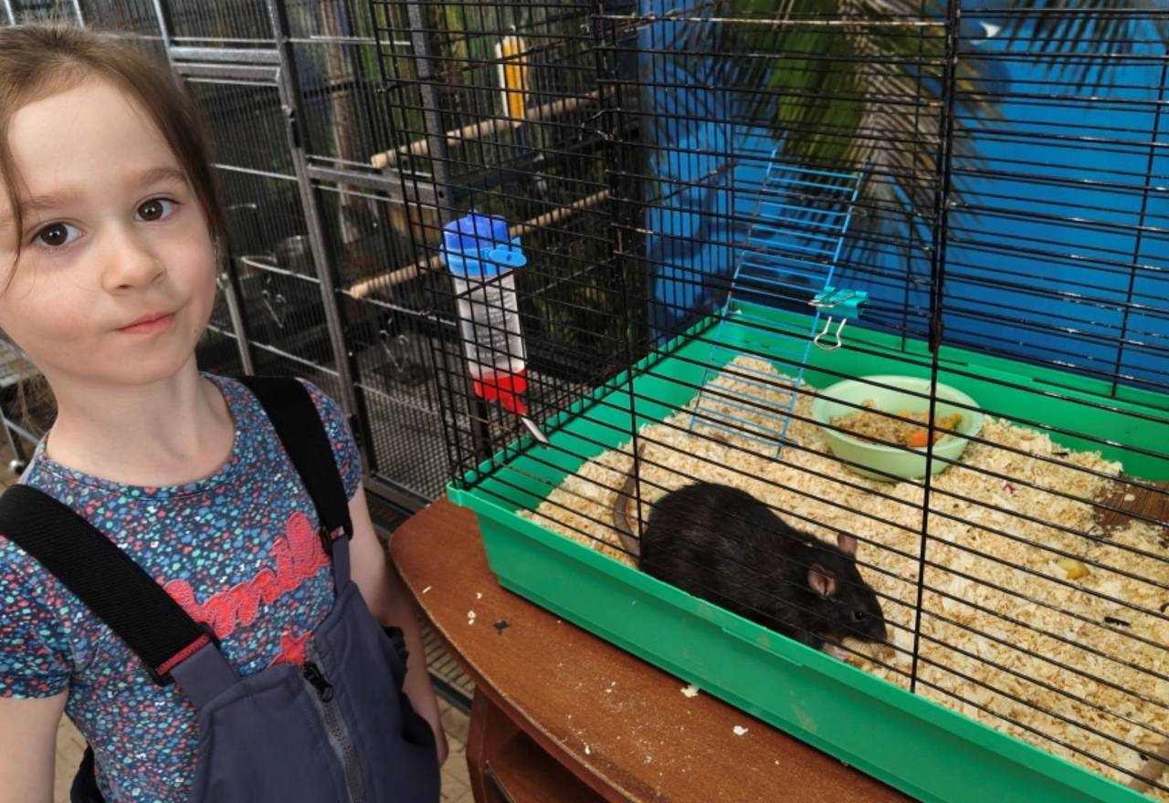 Новые дома для питомцев «Натуралиста»