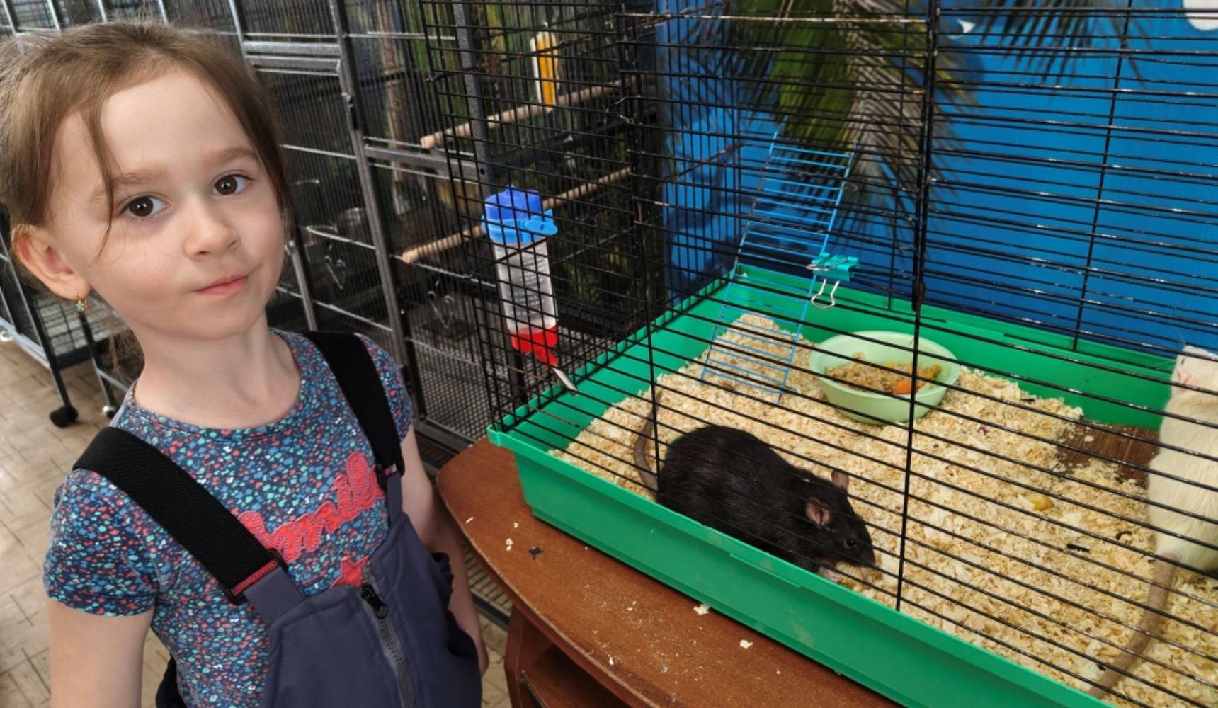 Новые дома для питомцев «Натуралиста»