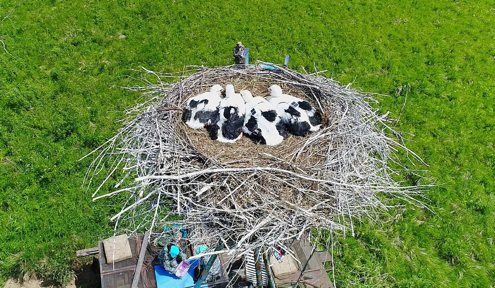 Всех посчитали