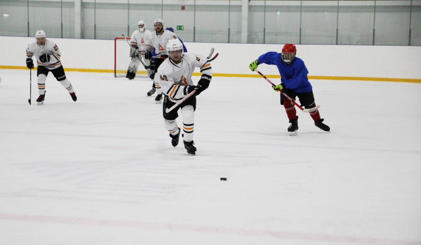 Хоккейные баталии