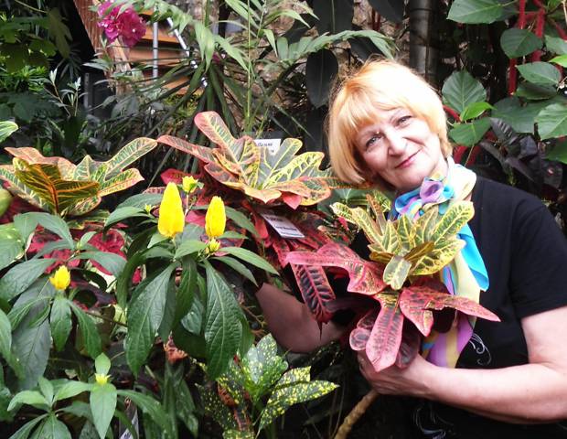 Белый город в ладонях тайги