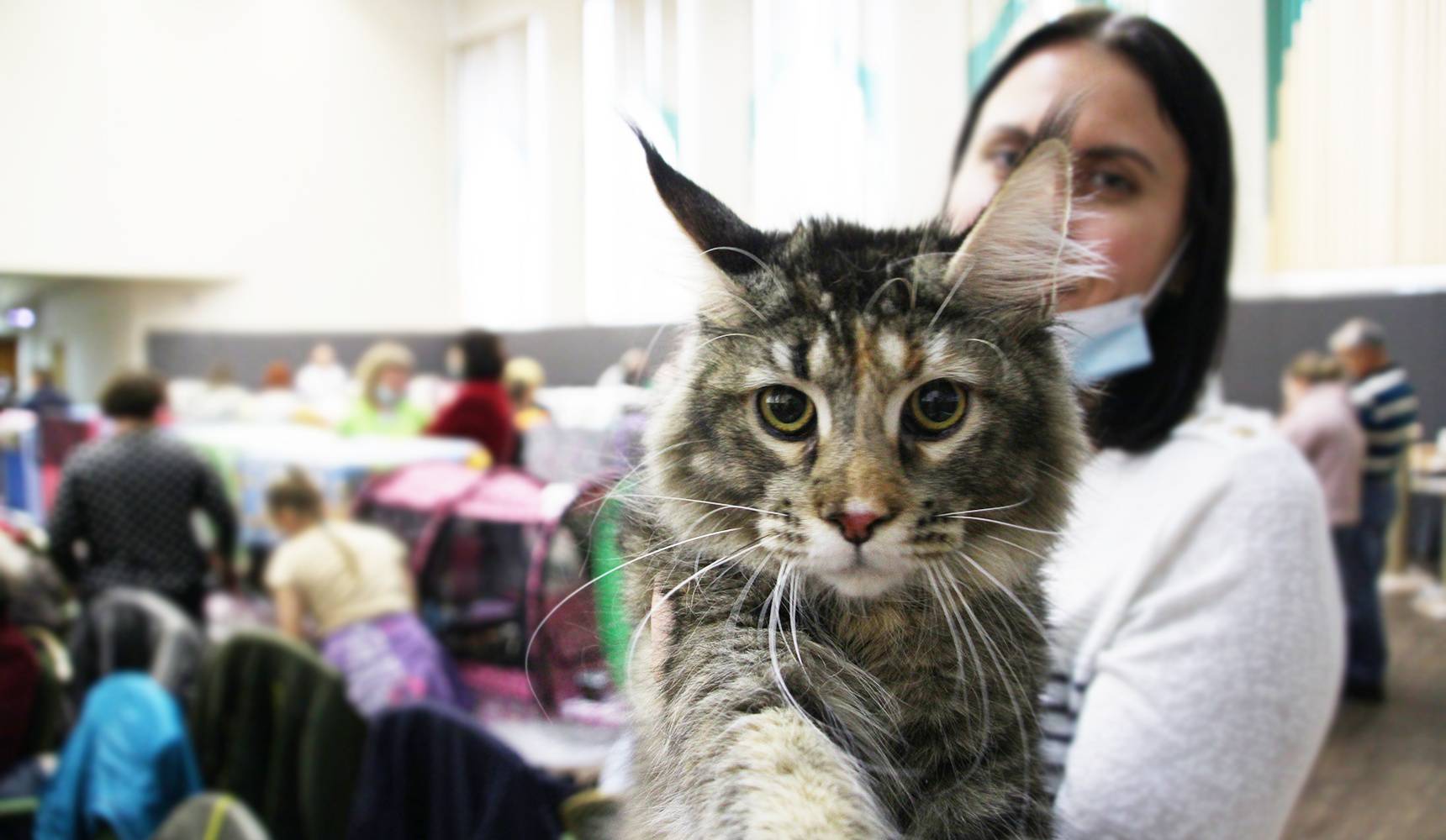 Редкий чемпион