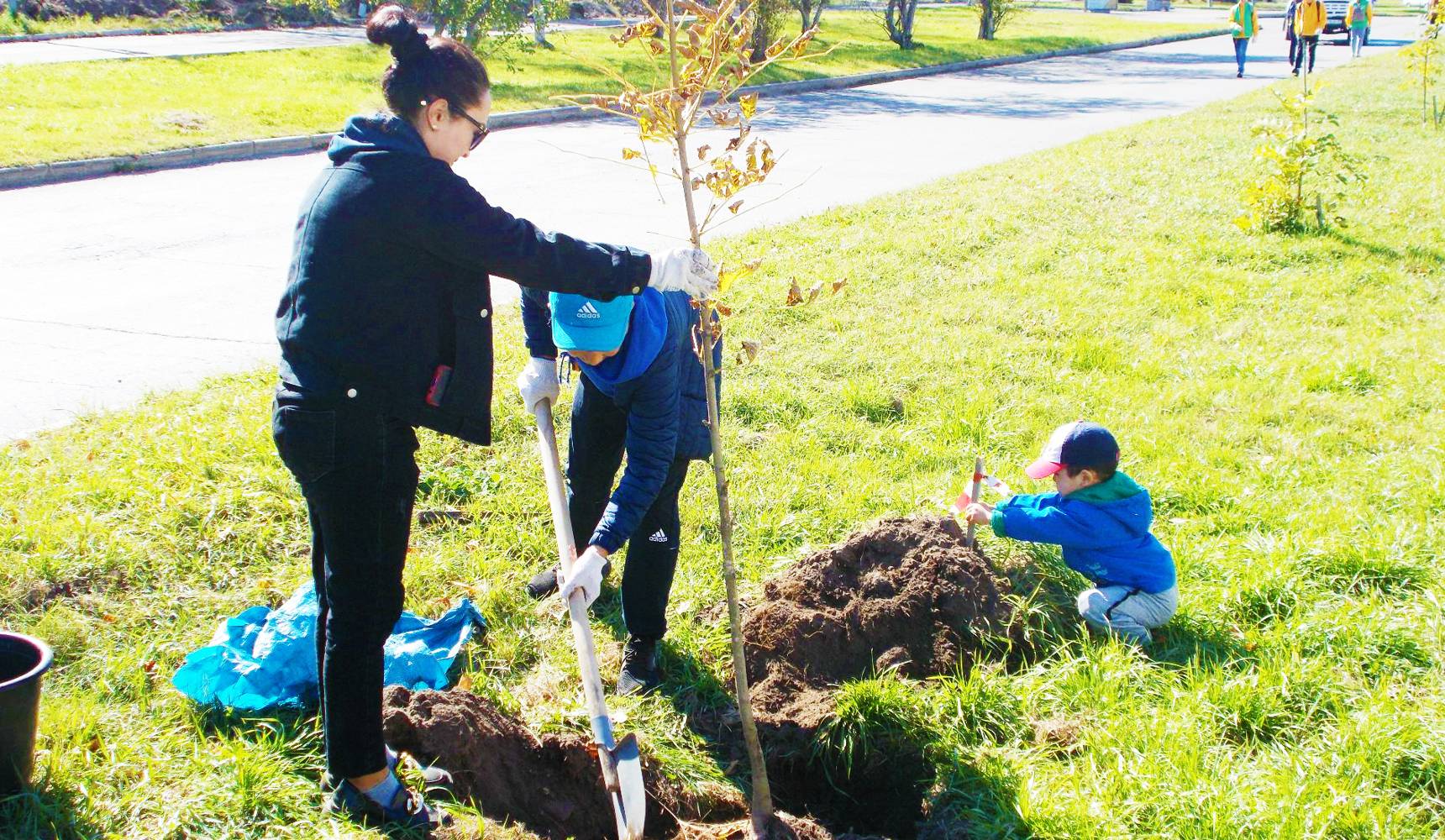 Акция «Подари ребенку дерево»