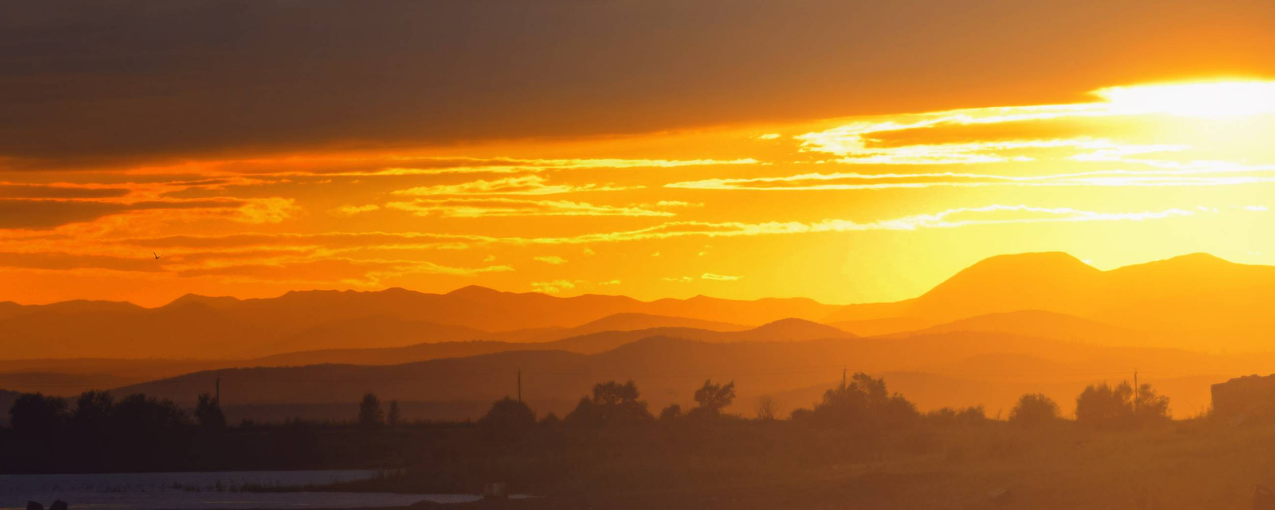 Амурское золото