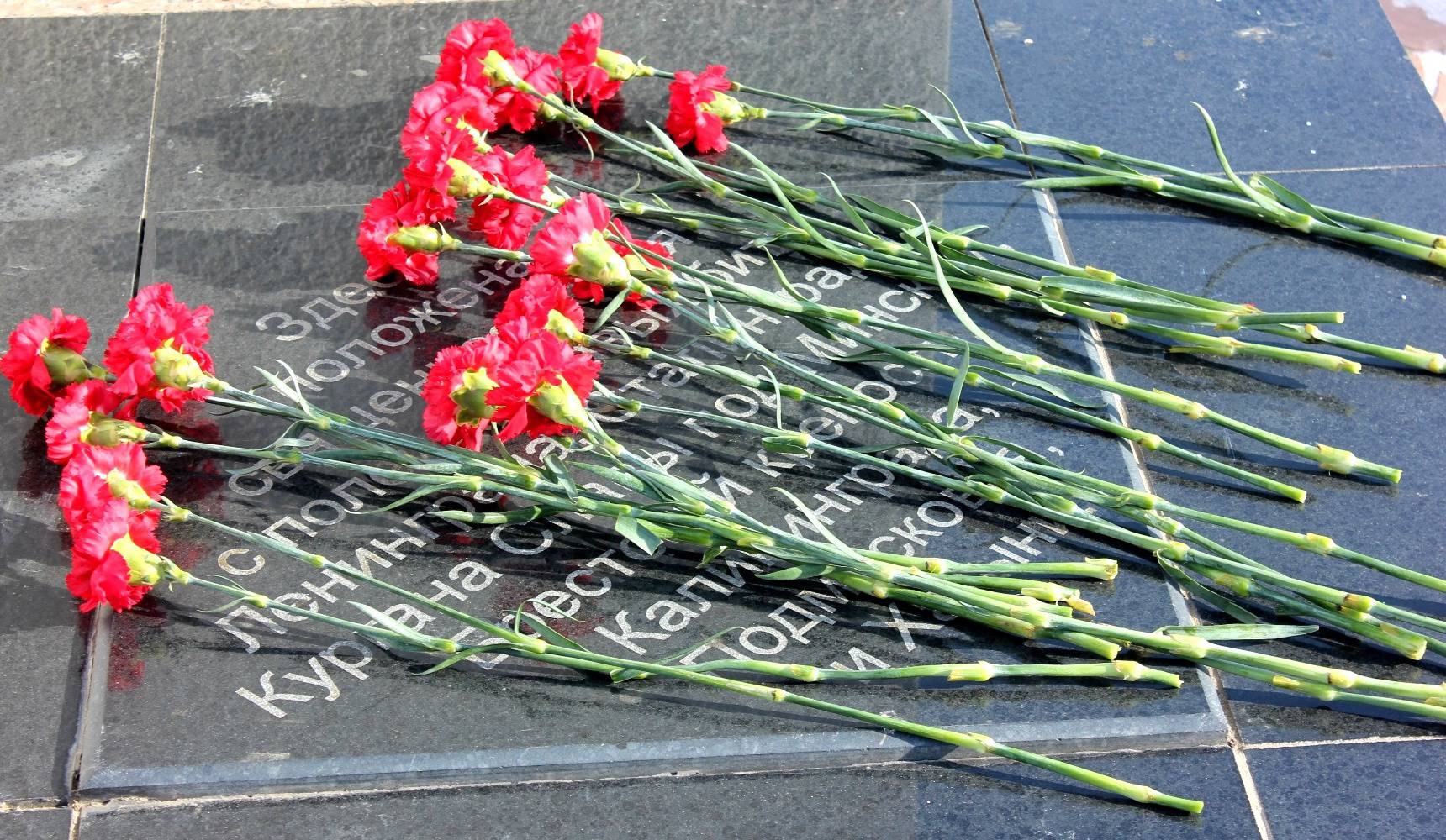 Цветы защитникам