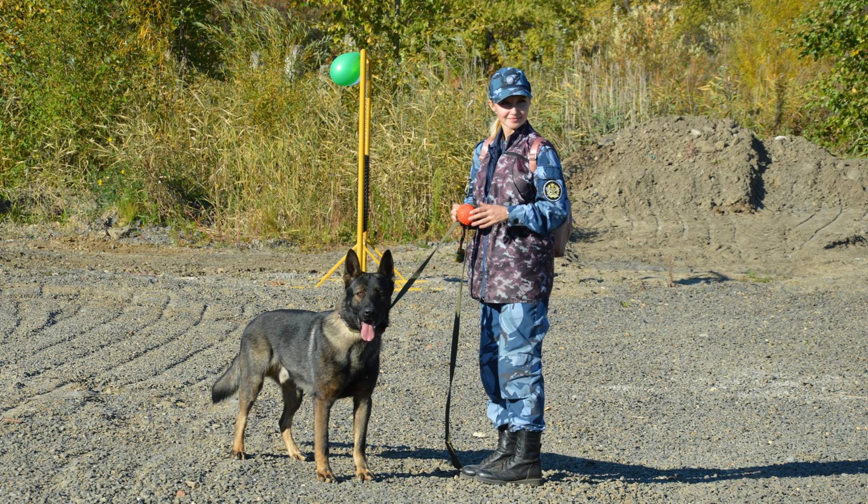 Парк для четвероногих амурчан