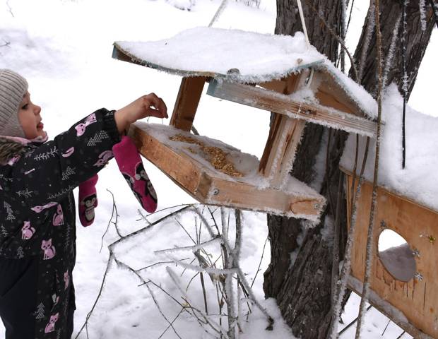 Кто обедает в птичьей столовой?