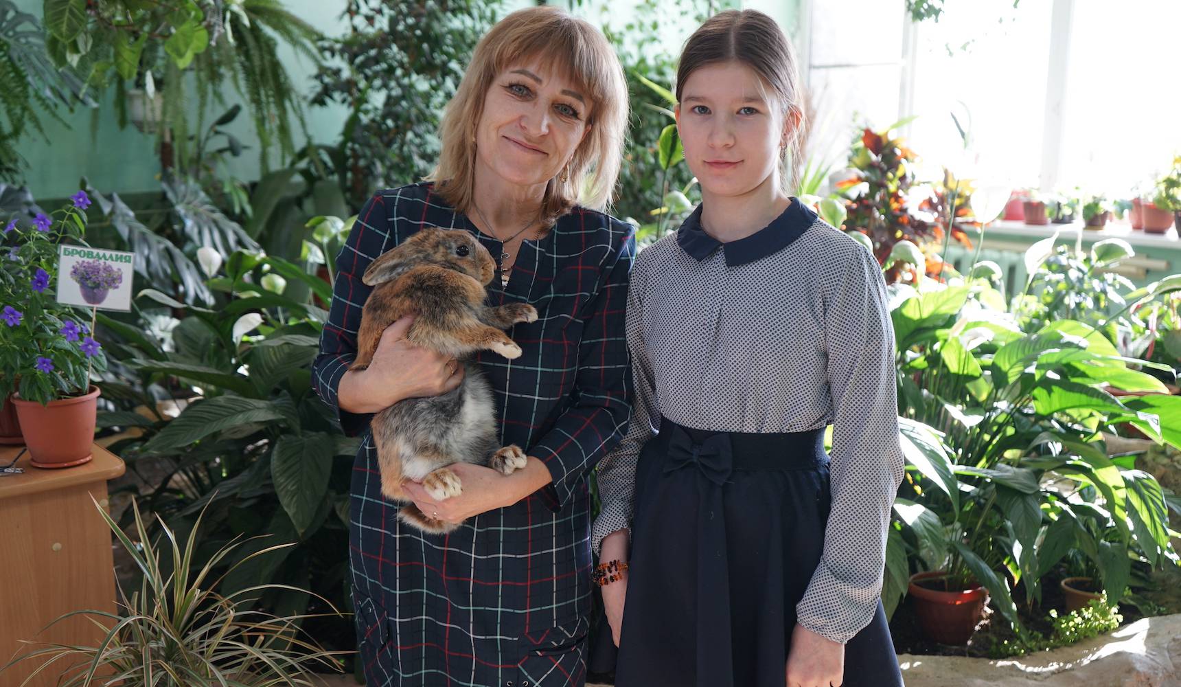 Зеленый школьный оазис