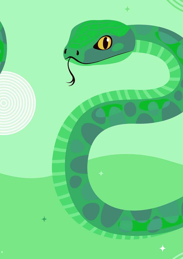 Символ-2025: что нужно о нем знать