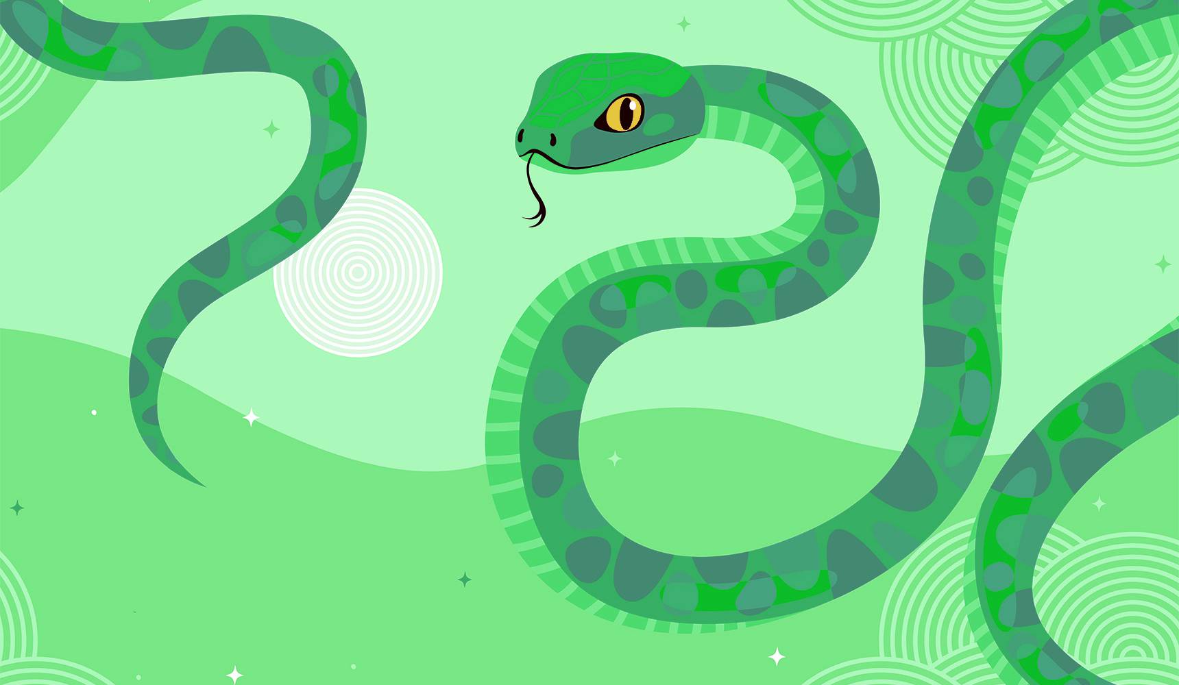 Символ-2025: что нужно о нем знать