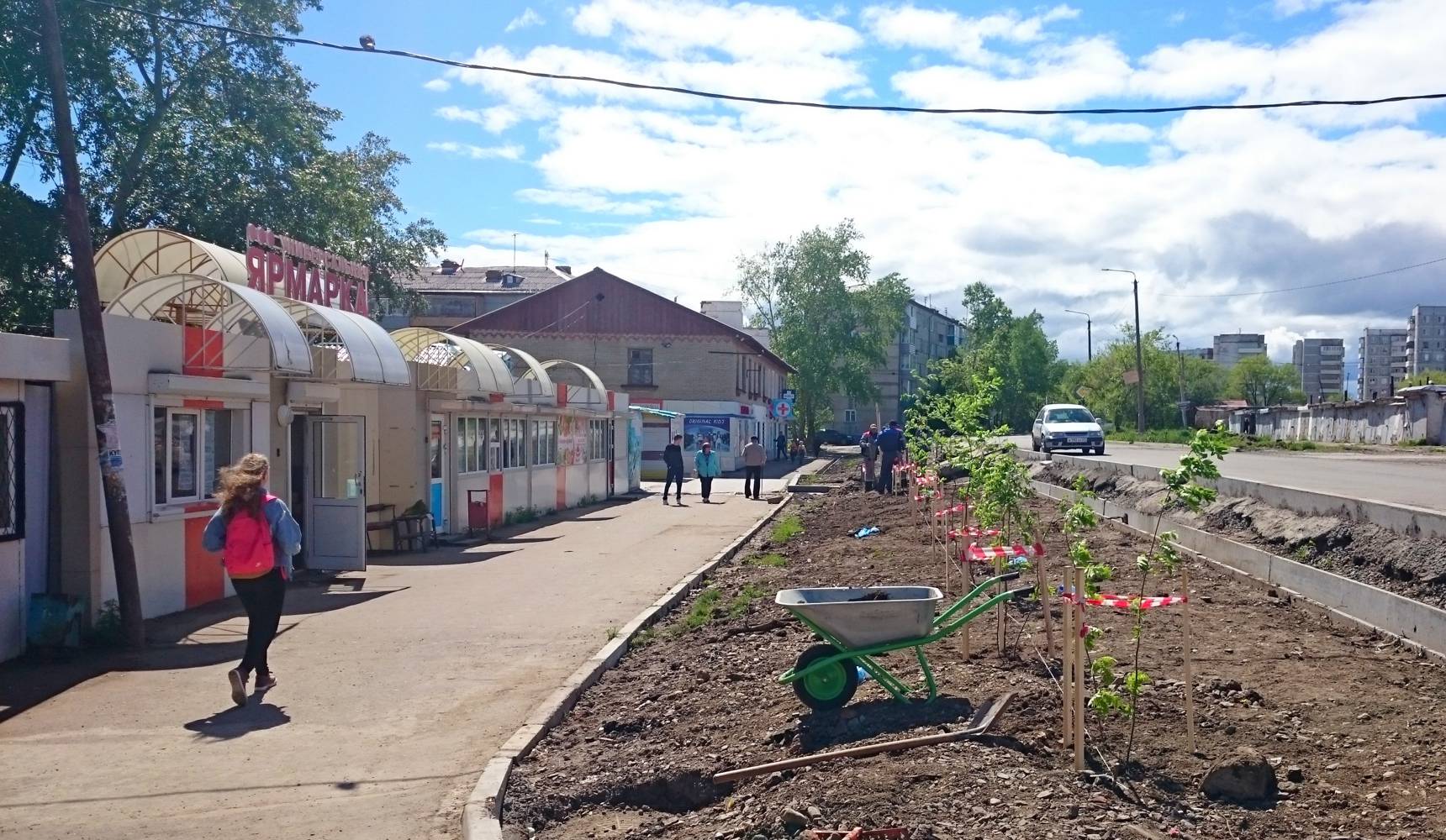 Молодые деревья украсили Пионерскую