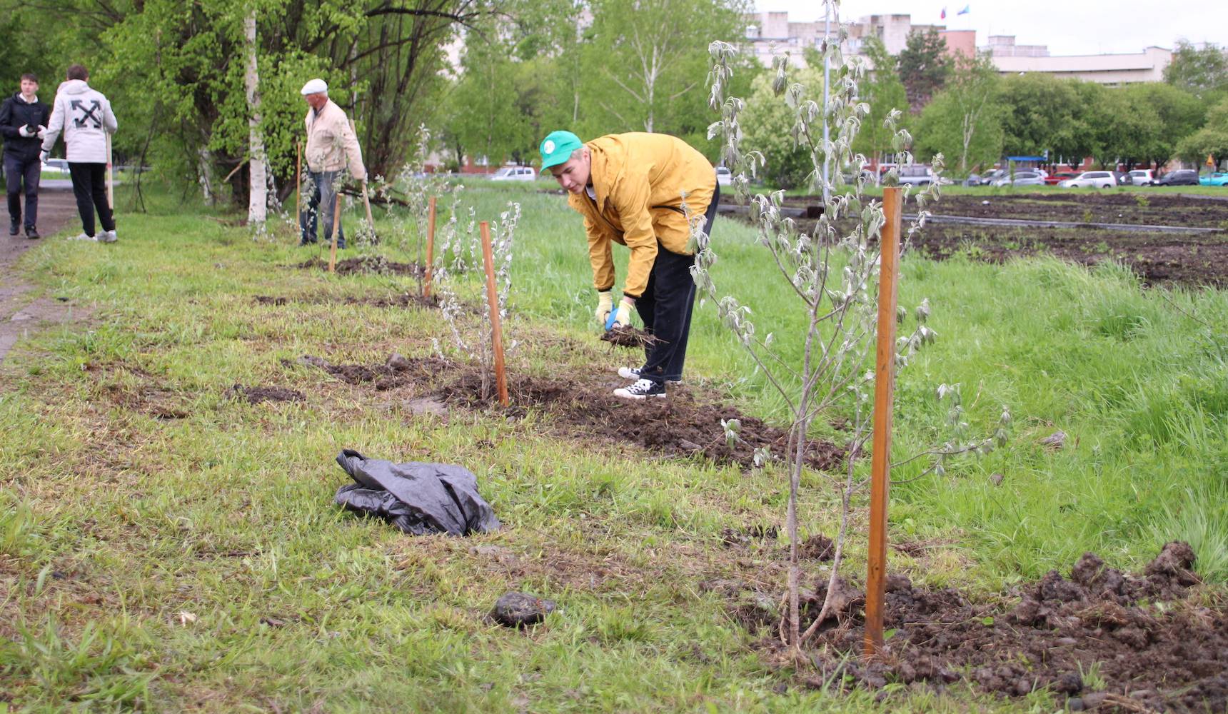 Зеленый подарок к юбилею