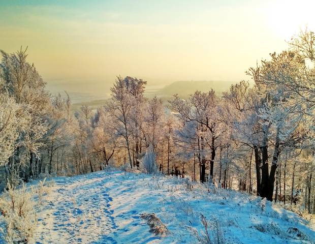 Фотоконкурс «Про Амурск. Про любовь» набирает обороты